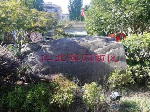 守護(hù)綠水青山！公司以“奔跑的姿態(tài)”加速推進(jìn)“污水零直排”建設(shè)任務(wù)